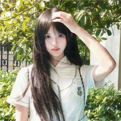 比翼归飞