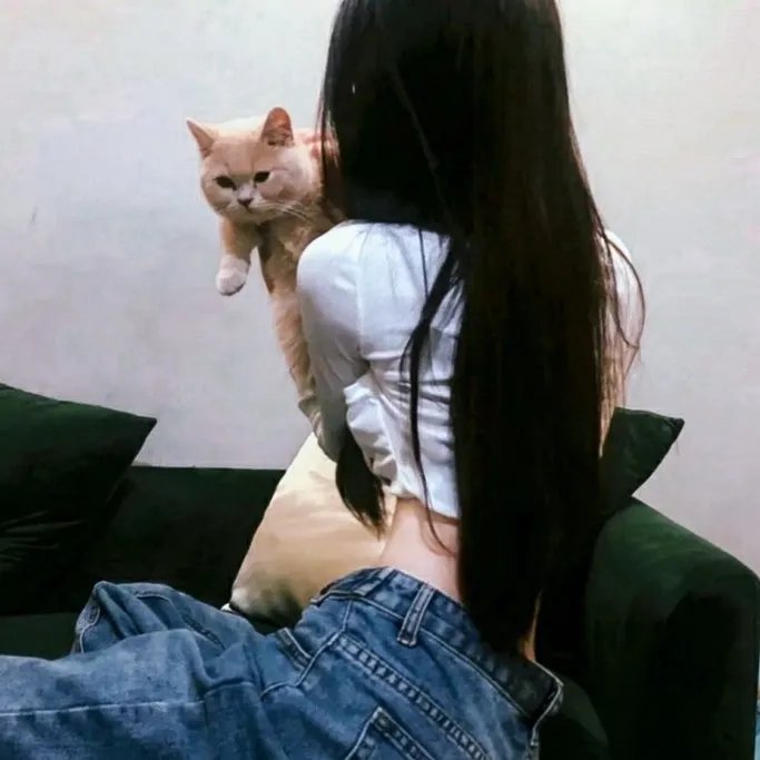 宝贝威龙